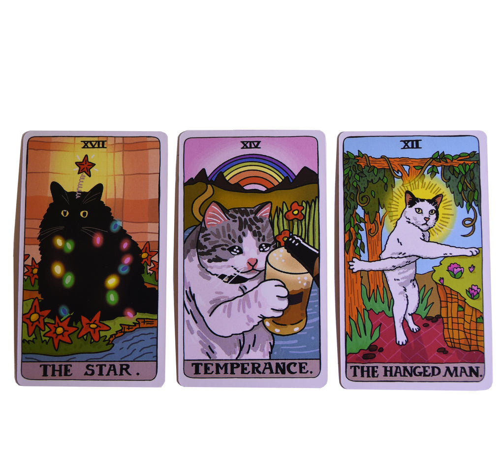Meme cats tarot 